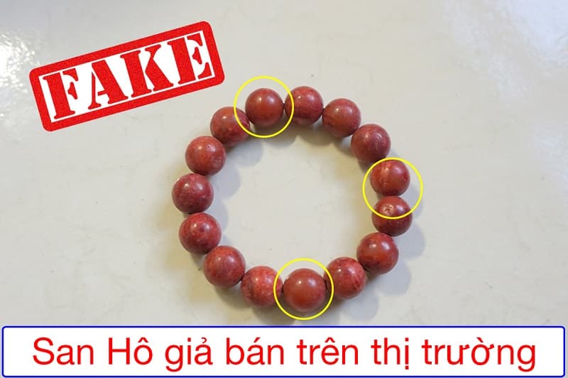 Hướng dẫn phân biệt san hô hóa thạch thật và giả