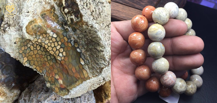 Mang gam màu nhẹ nhàng, trung tính, dễ phối đồ