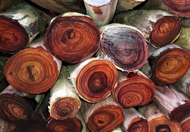 Cách bảo quản gỗ Tử Đàn