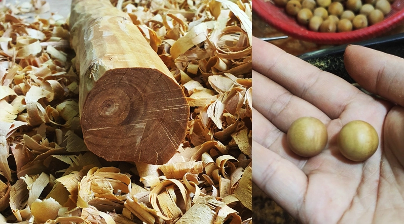 Hạt Gỗ đàn hương (Sandalwood)