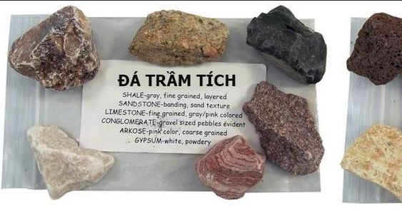 Phân loại đá trầm tích phổ biến