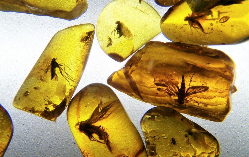 Các loại hổ phách phổ biến
