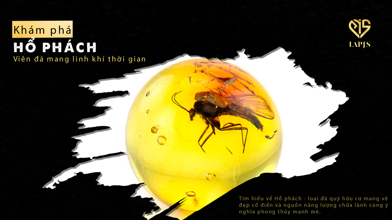 Hổ phách - Viên đá mang linh khí thời gian